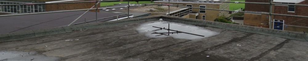 dakreparatie plat dak in Zevenaar